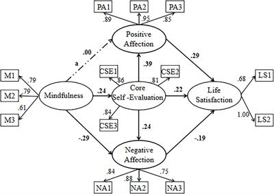 How Mindfulness Affects Life Satisfaction: Based on the Mindfulness-to-Meaning Theory